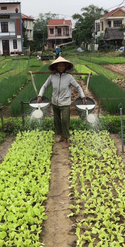 Guy watering plants - mti events