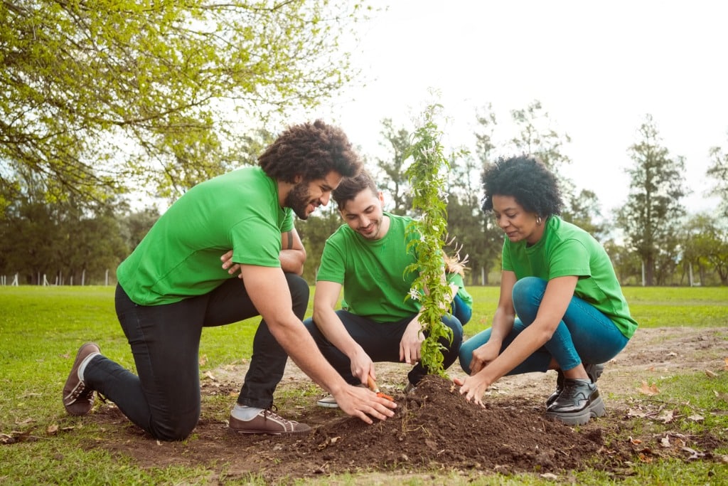 Employees-planting-tree