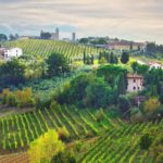 Vineyards In Tuscany, Italy